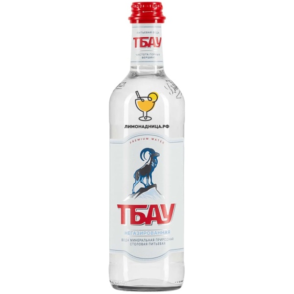 Вода питьевая «ТБАУ» Premium негазированная 0,5 л, стекло - купить в интернет магазине лимонадница.рф в Москве